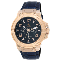 Наручний годинник Beverly Hills Polo Club BH549-08