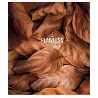 Зошит Школярик The Flawless 48 аркушів клітинка (048-3046K)