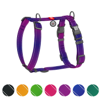 Шлея для собак WAUDOG Nylon Mono анатомічна H-подібна з QR паспортом, пластиковий фастекс, L фіолетова (54589)