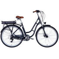 Електровелосипед Dorozhnik 28" eCORAL DD FR рама-19" 48B 13А*г 500Вт 2026 темно-сірий (ELB-D-28-114)