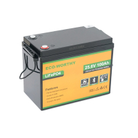 Батарея LiFePo4 Dyness 25,6V 100Ah (80/100A) (Eco-Worthy-251002)