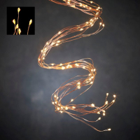 Гірлянда Luca Lighting Оберемок струн 2 м теплий білий (8718861329308)
