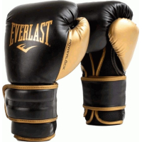 Боксерські рукавички Everlast Powerlock 2R Training Glove P00002665 чорний, золотий 16 унцій (009283611996)