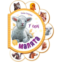 Книга Малята у селі + Аудіо-бонус - Ірина Сонечко Ранок (9789667508593)