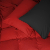 Постільна білизна MirSon 002-009 Black/Red Фланель 2 x 160 x 220 Сімейний Євро (2200009656576)