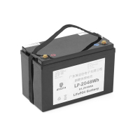 Батарея LiFePo4 Eyasta 51,2V 40Ah 2048Wh (LP-2048Wh)