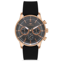 Наручний годинник Ferro FM11150D-R4