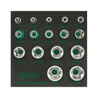 Набір торцевих головок Toptul Torx Plus EPR 1/4",3/8",1/2" 6EPR-32EPR 16шт. в ложементі (GABF1601)