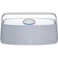 Акустична система Tronsmart Fiitune X30 Black (1131580)