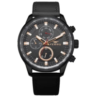 Наручний годинник Ferro FM1856B-G