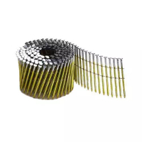 Цвяхи Bostitch F, для барабанних обойм, L=70мм, d=2.5мм, d капелюшка 7.2мм, 9000 шт (F25070Q)