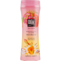 Гель для душу Shik Nectar Silk Foam Пітахая і лічі 250 г (4820023368842)