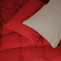 Постільна білизна MirSon 004-009 Cappuchino/Red Фланель 2 x 160 x 220 Сімейний Євро (2200009658983)