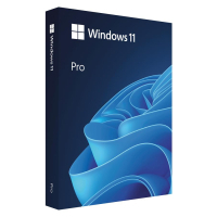 Операційна система Microsoft Windows 11 Pro укр, FPP на USB носії (HAV-00195)