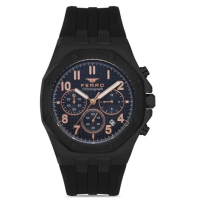 Наручний годинник Ferro FM31307D-G
