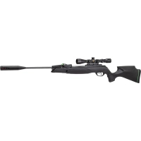 Пневматична гвинтівка Gamo Swarm Magnum Pro 10X Gen3i (приціл 3-9х40) (61100393-IGT)