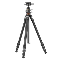 Штатив Vanguard VEO 5 234AB-110S (DAS303305)