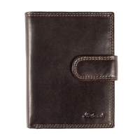Гаманець Ashwood 1246 VT Brn