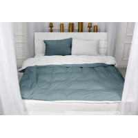 Постільна білизна MirSon Велюр Winter Frost 28-0001 + 28-0005 Snowdrop Velvet 175х210 (2200004004235)