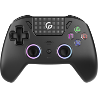 Геймпад GamePro GPS20B 2.4G/BT 5.1/USB (Switch/PC/PS/iOS/Android) RGB Black (GPS20B)