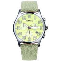 Наручний годинник Temporis T003GS.02
