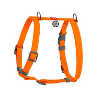 Шлея для собак WAUDOG Waterproof анатомічна Н-подібна S помаранчева (32944)