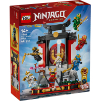 Конструктор LEGO NINJAGO Модель персонажів ніндзя. 15-та річниця (71866)