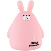 Ігровий набір Kite Скарбничка Pink Bunny (K25-498-9)