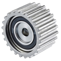 Ролик натягувача ременя SNR GE381.00